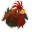 Roostro